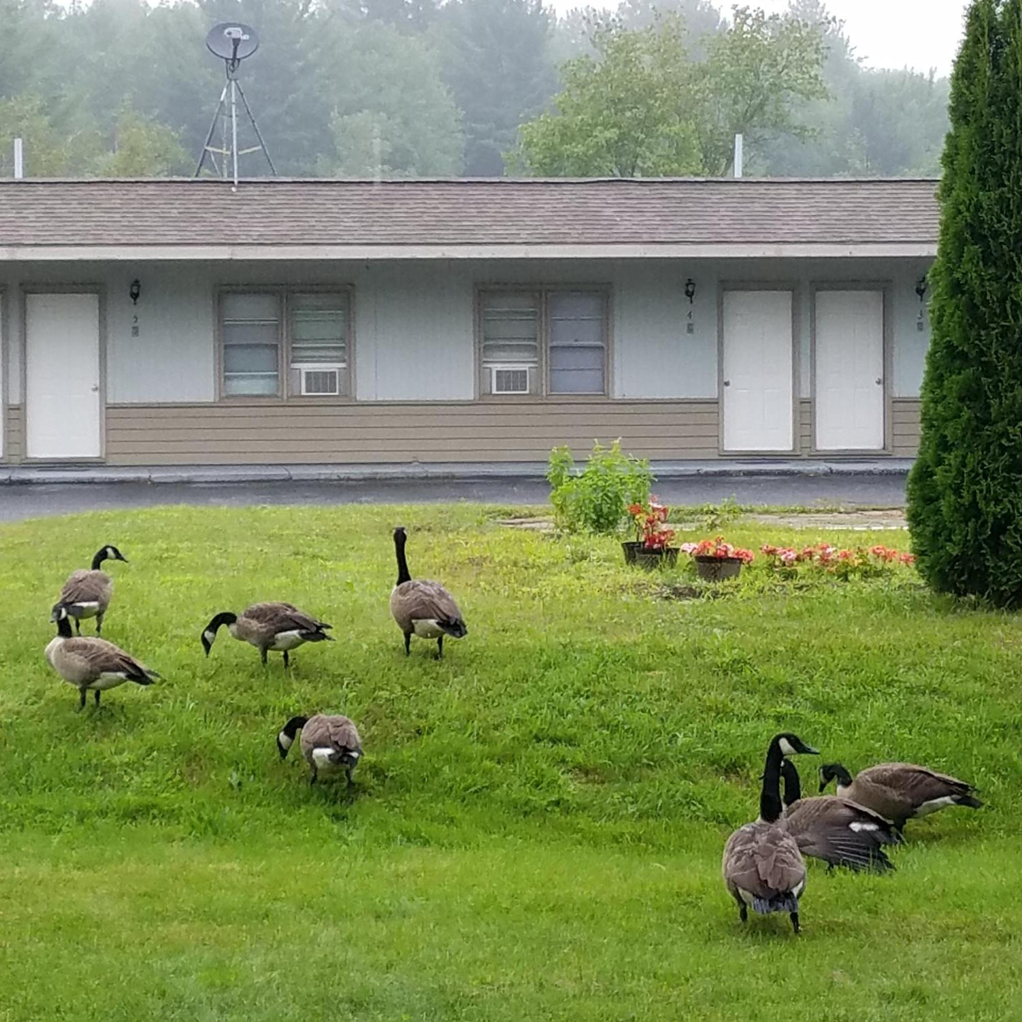 The Becket Motel Exterior foto